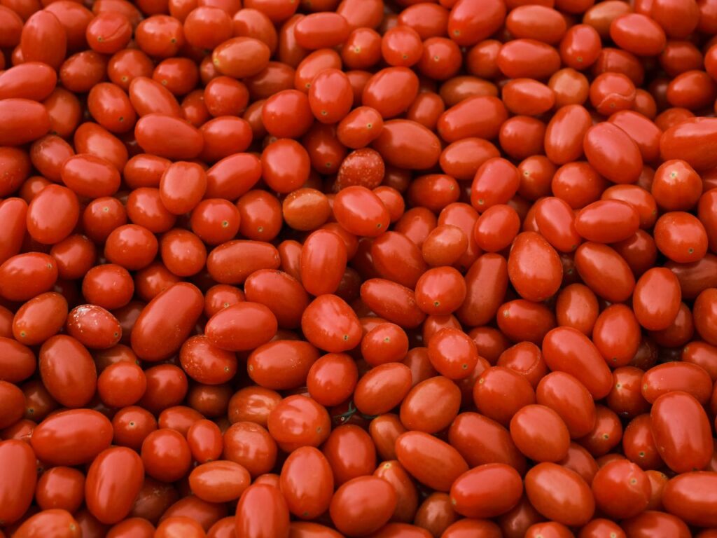 A close-up shot of vibrant, fresh organic cherry tomatoes, perfect for healthy dishes.