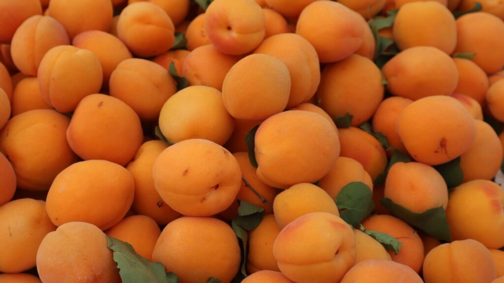 Fresh organic peaches on display at a fruit stand in Elk Grove, California.